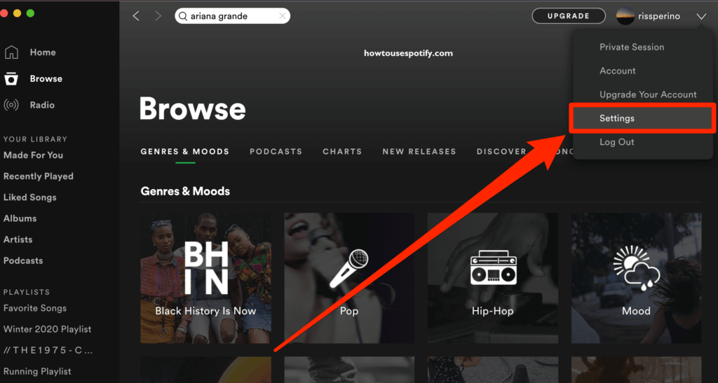 How to Get to settings on spotify web player